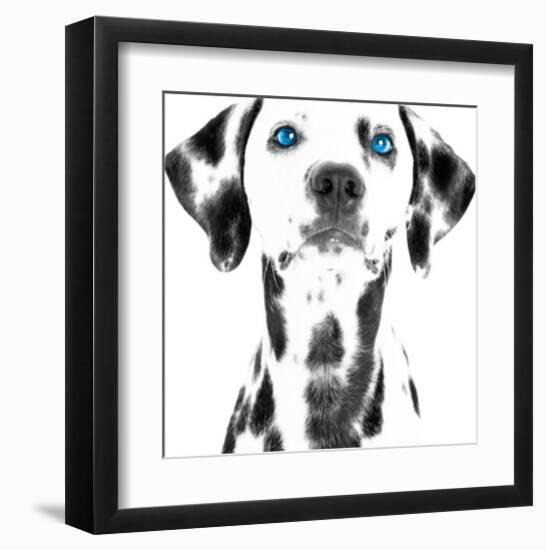 Dalmatian Date VI-null-Framed Art Print