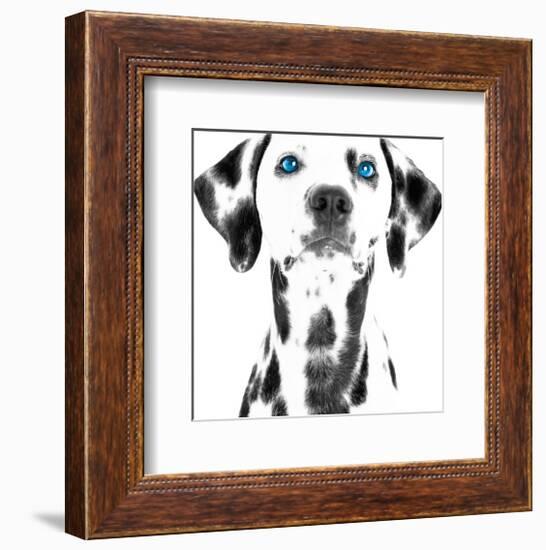 Dalmatian Date VI-null-Framed Art Print