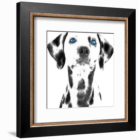 Dalmatian Date VI-null-Framed Art Print