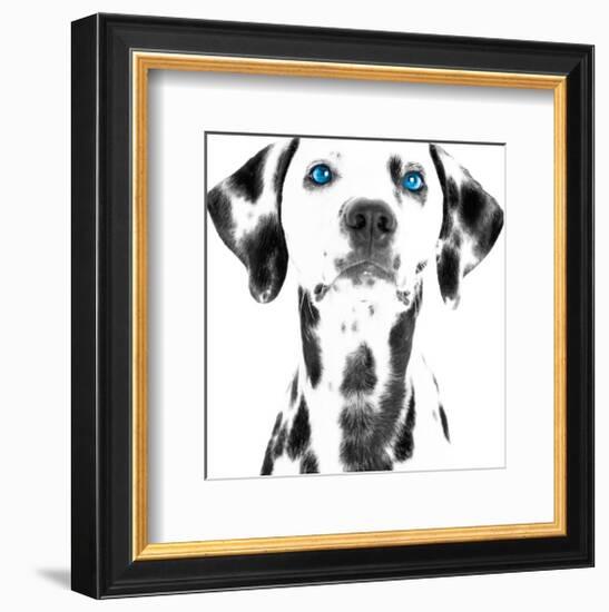 Dalmatian Date VI-null-Framed Art Print