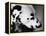 Dalmatian Dog-Henry Horenstein-Framed Premier Image Canvas