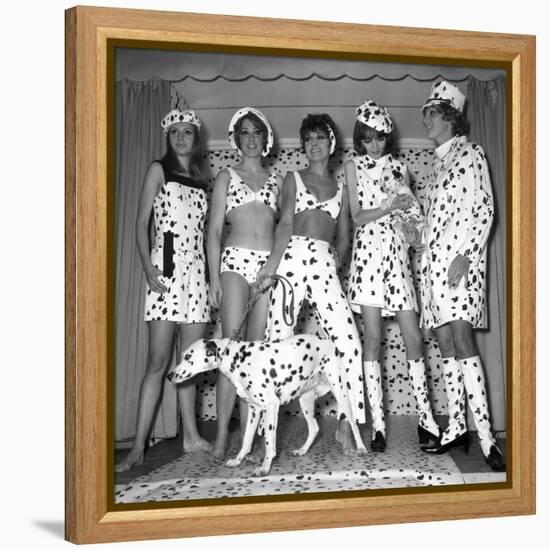 Dalmatian Fashion, Paris, 26 October 1967-null-Framed Stretched Canvas