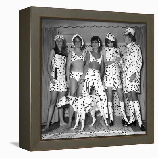 Dalmatian Fashion, Paris, 26 October 1967-null-Framed Stretched Canvas