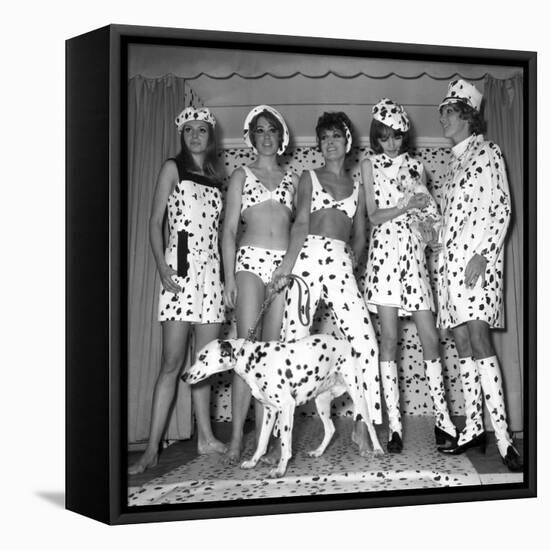 Dalmatian Fashion, Paris, 26 October 1967-null-Framed Stretched Canvas