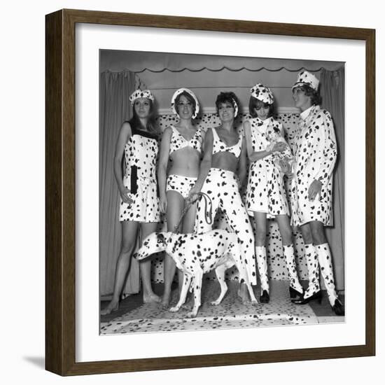 Dalmatian Fashion, Paris, 26 October 1967-null-Framed Photo