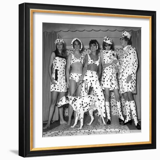 Dalmatian Fashion, Paris, 26 October 1967-null-Framed Photo