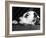 Dalmatian, Head Only, 1934-Thomas Fall-Framed Photographic Print