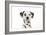 Dalmatian (Head Shot)-null-Framed Photographic Print