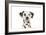 Dalmatian (Head Shot)-null-Framed Photographic Print