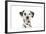 Dalmatian (Head Shot)-null-Framed Photographic Print