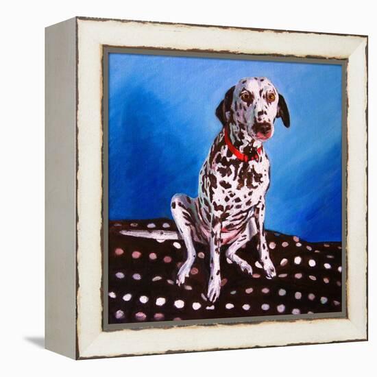 Dalmatian on Spotty Cushion, 2011-Helen White-Framed Premier Image Canvas