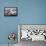 Dalmatian Pelicans-Xavier Ortega-Framed Premier Image Canvas displayed on a wall