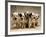 Dalmatian Puppies-Dennis Degnan-Framed Photographic Print