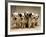 Dalmatian Puppies-Dennis Degnan-Framed Photographic Print