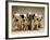 Dalmatian Puppies-Dennis Degnan-Framed Photographic Print