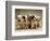 Dalmatian Puppies-Dennis Degnan-Framed Photographic Print