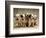 Dalmatian Puppies-Dennis Degnan-Framed Photographic Print