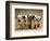 Dalmatian Puppies-Dennis Degnan-Framed Photographic Print