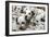 Dalmatian Puppies-Peter Thompson-Framed Photographic Print