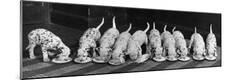 Photographic Print