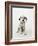 Dalmatian Puppy-Don Mason-Framed Photographic Print