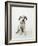 Dalmatian Puppy-Don Mason-Framed Photographic Print