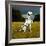 Dalmatian Sitting with Paw Up-Sally Anne Thompson-Framed Photographic Print