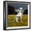 Dalmatian Sitting with Paw Up-Sally Anne Thompson-Framed Photographic Print