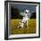 Dalmatian Sitting with Paw Up-Sally Anne Thompson-Framed Photographic Print