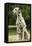 Dalmatian Sitting-null-Framed Premier Image Canvas