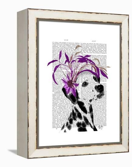 Dalmatian with Purple Fascinator-Fab Funky-Framed Stretched Canvas