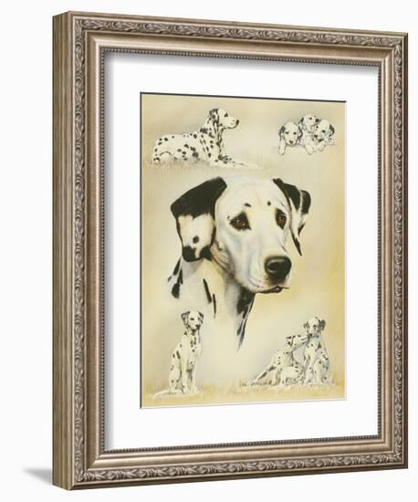 Dalmatian-Libero Patrignani-Framed Art Print