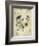 Dalmatian-Libero Patrignani-Framed Art Print