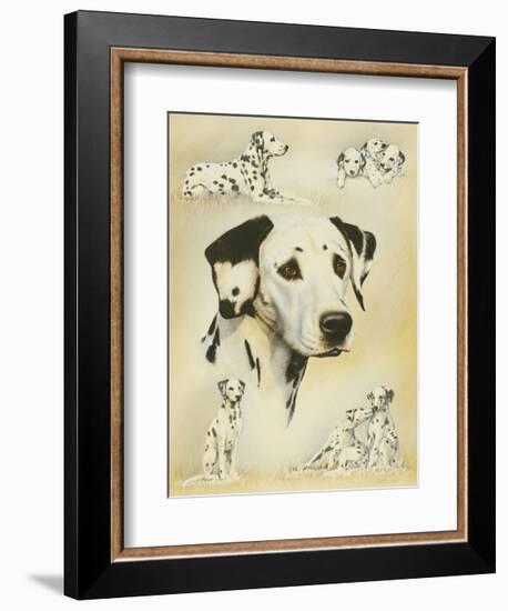 Dalmatian-Libero Patrignani-Framed Art Print