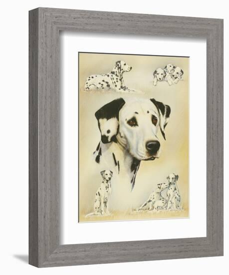 Dalmatian-Libero Patrignani-Framed Art Print