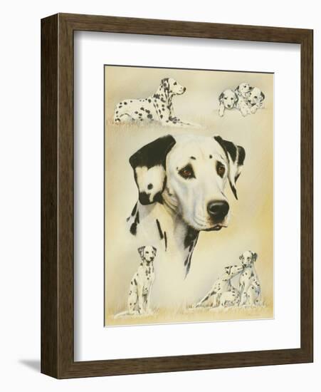 Dalmatian-Libero Patrignani-Framed Art Print