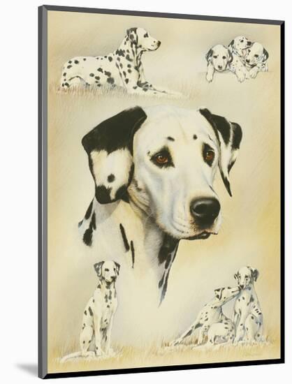 Dalmatian-Libero Patrignani-Mounted Art Print