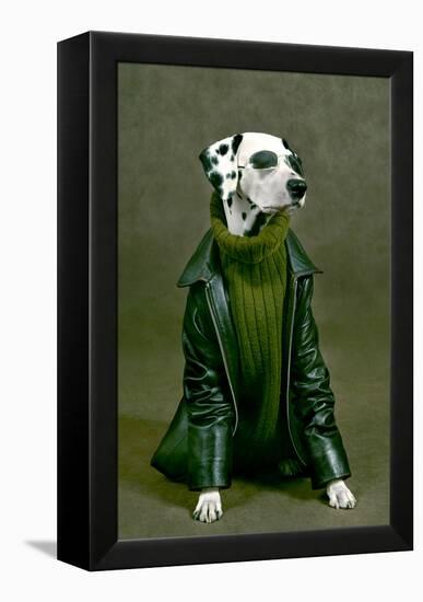 Dalmatian-ingret-Framed Premier Image Canvas