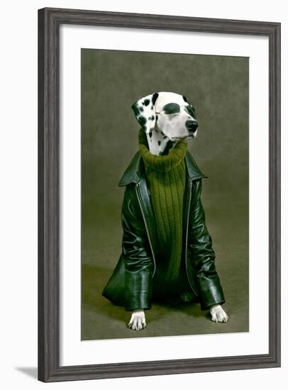 Dalmatian-ingret-Framed Photographic Print