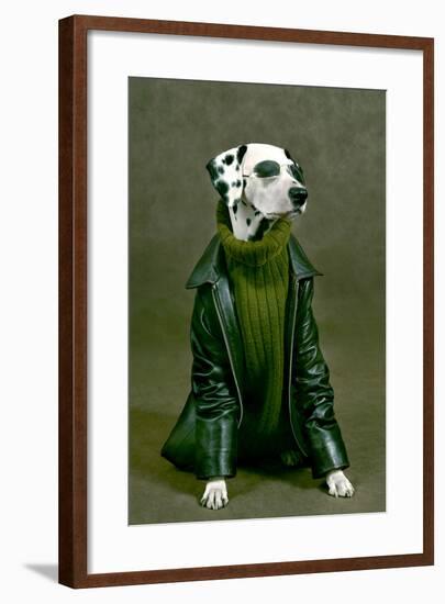 Dalmatian-ingret-Framed Photographic Print