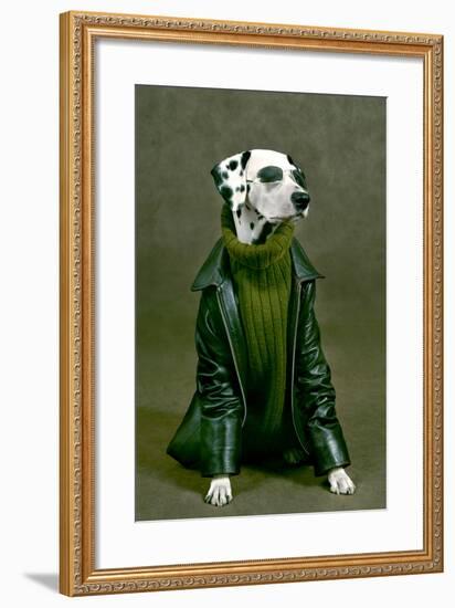 Dalmatian-ingret-Framed Photographic Print