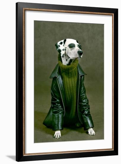 Dalmatian-ingret-Framed Photographic Print