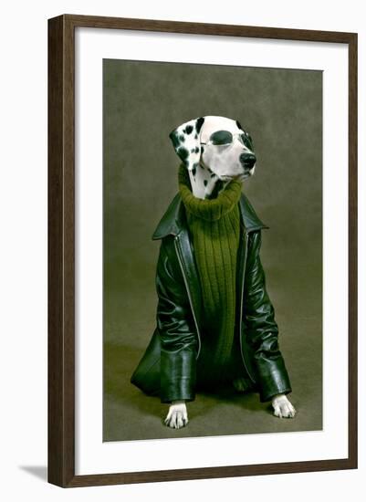 Dalmatian-ingret-Framed Photographic Print