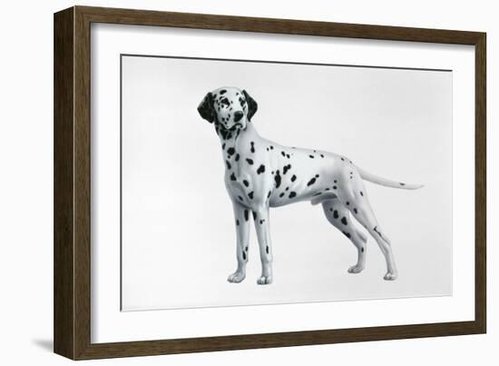 Dalmatian-Harro Maass-Framed Giclee Print