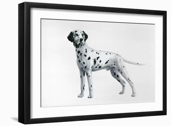 Dalmatian-Harro Maass-Framed Giclee Print