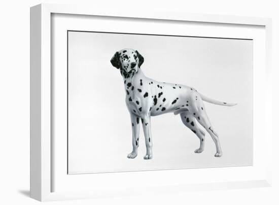 Dalmatian-Harro Maass-Framed Giclee Print