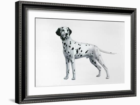 Dalmatian-Harro Maass-Framed Giclee Print