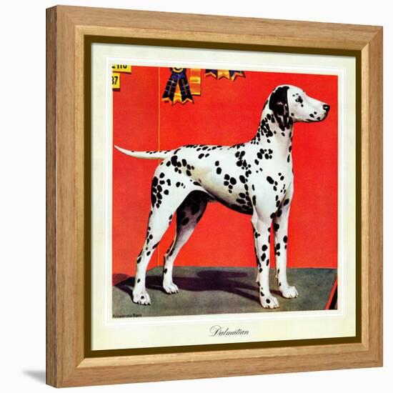 "Dalmatians," July 17, 1943-Rutherford Boyd-Framed Premier Image Canvas