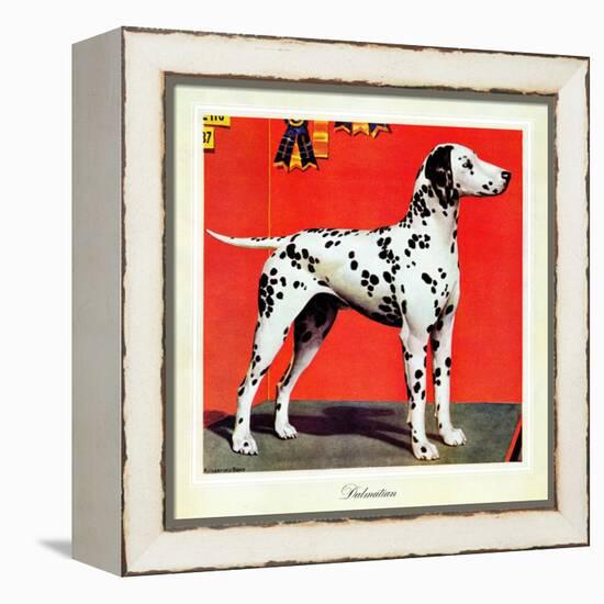 "Dalmatians," July 17, 1943-Rutherford Boyd-Framed Premier Image Canvas