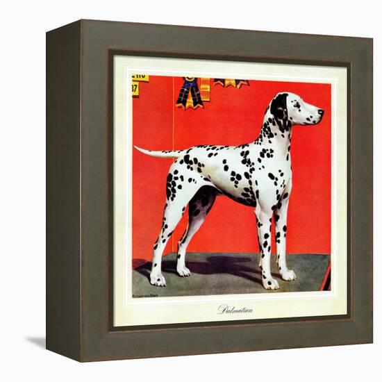 "Dalmatians," July 17, 1943-Rutherford Boyd-Framed Premier Image Canvas